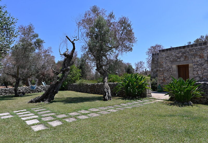 Masseria Oliveta