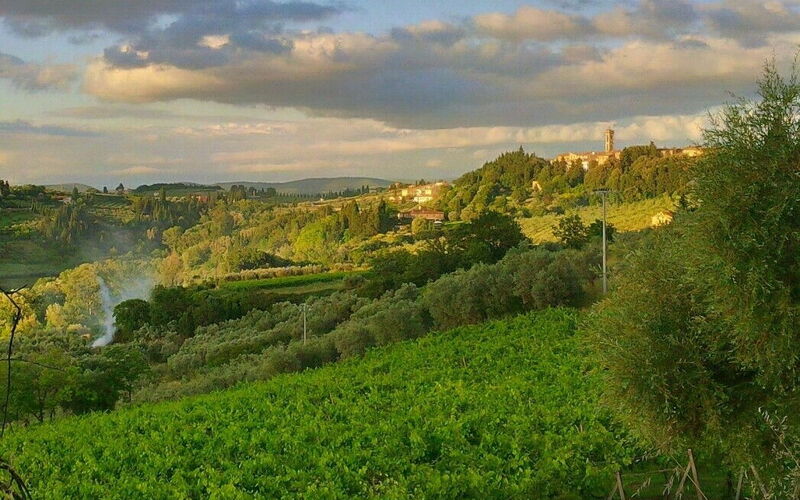 Wine and Olive Estates